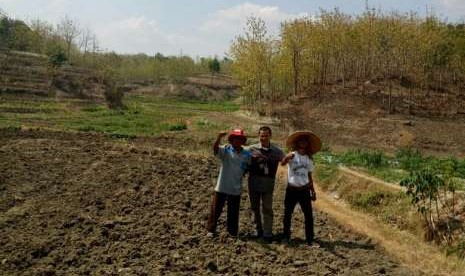 Lahan tanam padi sawah di Kabupaten Sragen, Jawa Tengah