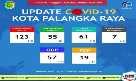 Laporan harian kasus Covid-19 di Kota Palangka Raya, ilustrasi