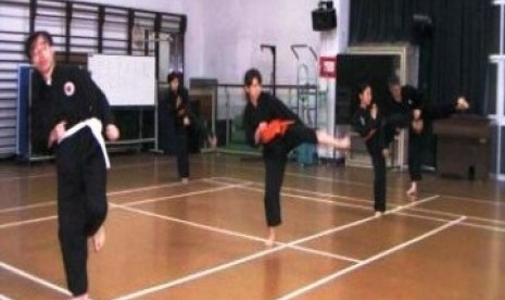 Latihan silat