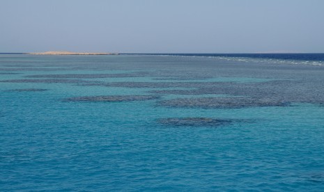 Raja Salman Pecat Pejabat Terkait Perluasan Laut Merah. Laut Merah