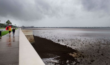 Laut Pesisir Barat Florida Mengering Karena Badai Irma.