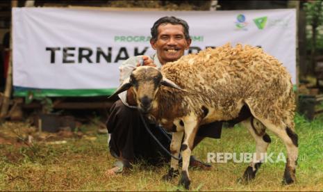 Dompet Dhuafa, selain melalui DD Farm, mendirikan pula kampung-kampung untuk meningkatkan kesejahteraan peternak. (ilustrasi).