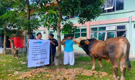 Laznas BMH Perwakilan Kepulauan Riau menyalurkan hewan qurban berupa  empat ekor sapi super dan lima ekor kambing super ke Batam dan sekitarnya, termasuk Pulau Seraya.