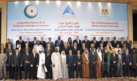 Leaders of Islamic nations for a group photo before the opening of the Organisation of Islamic Cooperation (OIC) summit in Cairo February 6, 2013. 