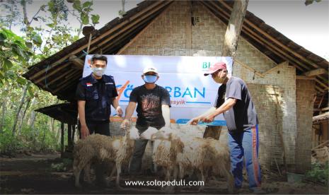 Lembaga Amil Zakat (LAZ) Solopeduli menyalurkan 29 ekor sapi dan 505 ekor kambing ke wilayah minus kurban di Jawa Tengah, Yogyakarta, dan Nusa Tenggara Timur, pada Hari Raya Idul Adha 1441 H. Foto dokumentasi 