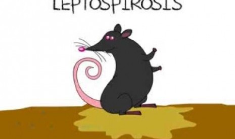 Leptospirosis