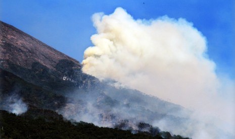 Lereng Gunung Slamet.