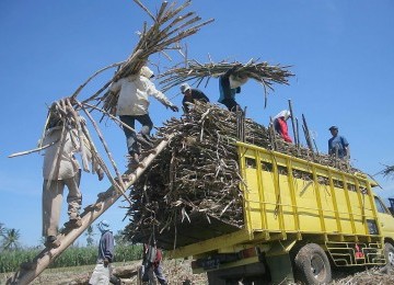 Limbah tebu, salah satu bahan biodiesel