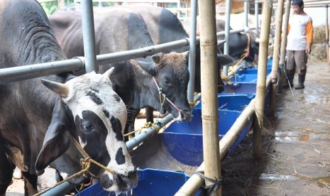 Livestock market in Depok, West Java (illustration).