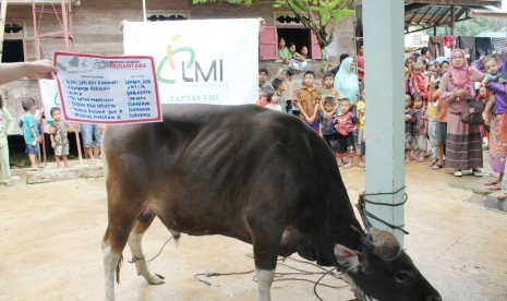 LMI menyalurkan bantuan dan distribusi daging kurban di Desa Patikalain, Kalimantan.