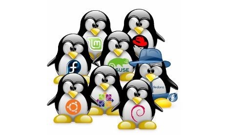 Logo distro-distro dalam Linux (ilustrasi)