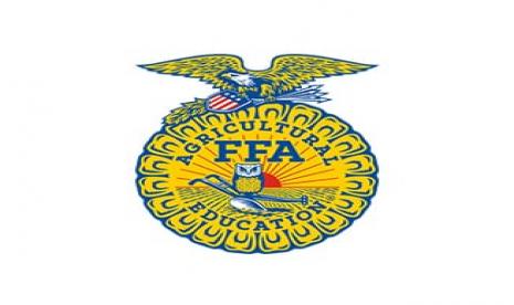 Logo FFA Australia