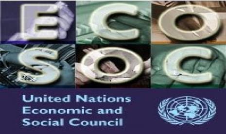 Logo ECOSOC