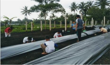 Lokakarya (workshop) kaderisasi pesantrenpreneur yang merupakan program pengembangan kewirausahaan pemuda dengan tema Mendorong Perekonomian Daerah Bangkit dan Bertumbuh Kembali Melalui Workshop budidaya Anggur dan Ikan Koi.