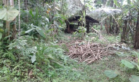 Lokasi antraks di kulonprogo.