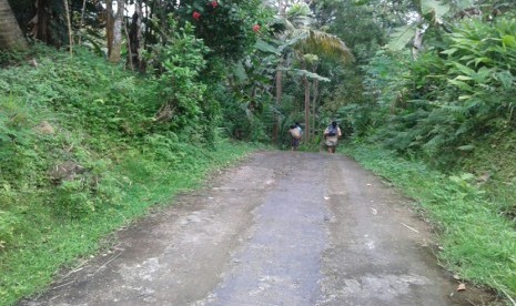 Lokasi jalan menuju dusun yang ternaknya positif terkena antraks di Kulon Progo 