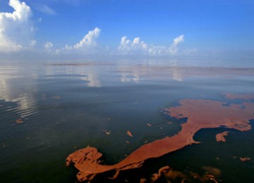 Luapan Minyak mencemari teluk Meksiko dan kawasan pantai Louisiana