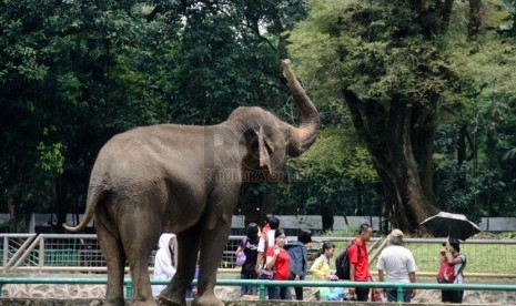 Warga mengisi hari libur dengan mengunjungi Kebun Binatang Ragunan, Jakarta Selatan, Senin (31/3).  (Republika/Yasin Habibi)