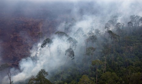    Asap mengepul dari kebakaran lahan gambut di kawasan penyangga Cagar Biosfer Giam Siak Kecil-Bukit Batu, Provinsi Riau, Selasa (1/4).  (Antara/FB Anggoro)