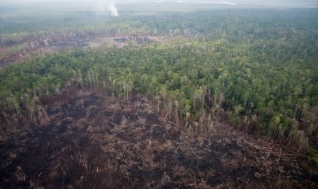   Asap mengepul dari kebakaran lahan gambut di kawasan penyangga Cagar Biosfer Giam Siak Kecil-Bukit Batu, Provinsi Riau, Selasa (1/4).  (Antara/FB Anggoro)