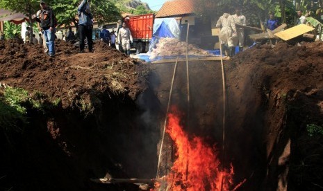  Petugas Balai Karantina Pertanian (BKP) Kelas II Cilegon memusnahkan daging celeng ilegal di Cikuasa, Merak, Banten, Jumat (20/6).   (Antara/Asep Fathulrahman)