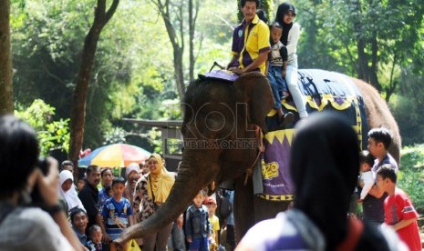  Pengunjung menaiki Gajah di kawasan wisata Kebun Binatang Bandung, Selasa(29/7).  (foto: Septianjar Muharam)