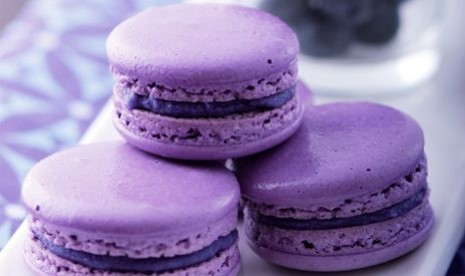 Macaron Blueberry