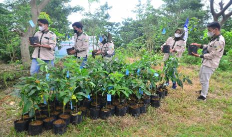 Mahasiswa bersiap menanam bibit pohon Alpukat di kawasan lereng gunung Muria, Desa Ternadi, Kudus, Jawa Tengah, Kamis (16/12/2021). Kegiatan menanam sebanyak 2000 bibit pohon Avokad yang dilakukan oleh Green Campus Universitas Muria Kudus, Kementerian Lingkungan Hidup dan Kehutanan serta Perhutani itu merupakan usaha penghijauan guna menjaga kawasan hutan agar tetap lestari.