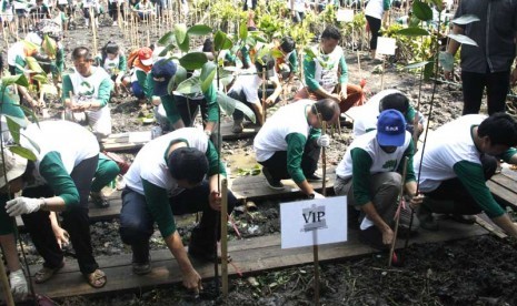 Mahasiswa dan berbagai elemen masyarakat lainnya penuh antusias menanam bibit mangrove