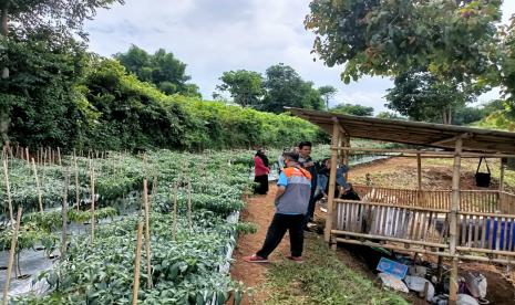 Mahasiswa diharapkan membawa perubahan dalam masyarakat ketika mereka sudah lulus, mereka merupakan kaum intelek dan ketika berada ditengah-tengah masyarakat bisa memperbaiki kondisi bangsa Indonesia saat ini. Salah satu bentuknya adalah dengan adanya Kuliah Kerja Nyata (KKN) sebelum mereka menyelesaikan tugas akhirnya.