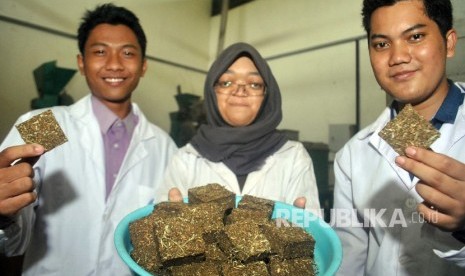 Mahasiswa IPB Andriyani (tengah) bersama Yoga Rivaldi (kiri) dan Latiful Akbar (kanan) menunjukkan hasil inovasinya wafer terbuat dari bahan eceng gondok untuk pakan ternak di Laboratorium Lapang Industri Pakan, Departemen Ilmu Nutrisi dan Teknologi Pakan, Fakultas Peternakan IPB, Dramaga, Kabupaten Bogor, Jawa Barat, Kamis (1/2). 