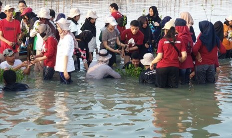 Mahasiswa IPB menanam 1.000 bibit mangrove di Pulau Pramuka.