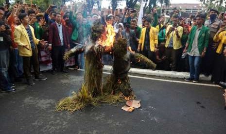 Mahasiswa melakukan demonstrasi dengan membakar boneka jerami yang ditempel foto Mendag dan Dirut Bulog, Senin (24/9). Aksi ini sebagai bentuk protes atas kisruhnya kebijakan soal impor beras saat ini. 