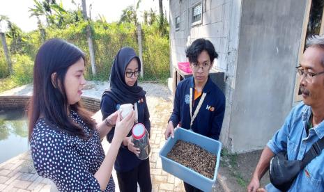  Mahasiswa Membangun Desa (MMD) Kelompok 237 melakukan pengabdian di Desa Ngijo, Kecamatan Karangploso, Kabupaten Malang.