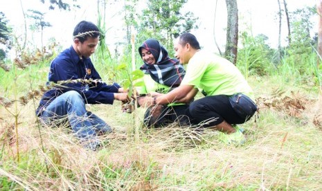 Penanaman pohon (ilustrasi)