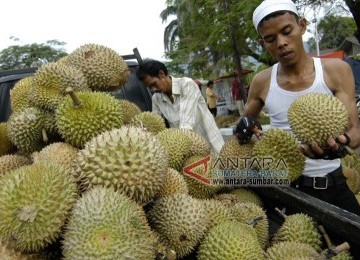 Pedagang durian (ilustrasi)