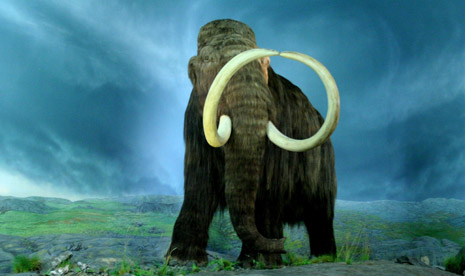 Mammoth.