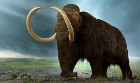 Mammoth. Ilustrasi