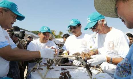 Managing Director and Chairwoman of IMF Christine Lagarde plants coral reefs at Sofitel Beach, Nusa Dua, Bali, Sunday.