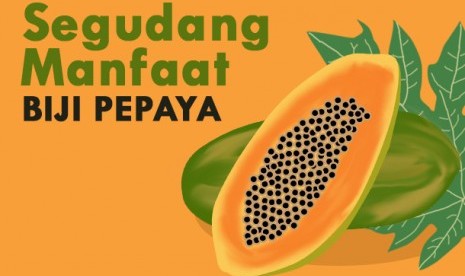 Manfaat biji pepaya.