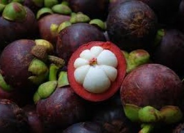 Mangosteen