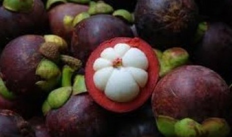 Mangosteen