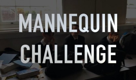 Mannequin Challenge