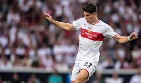 Mario Gomez