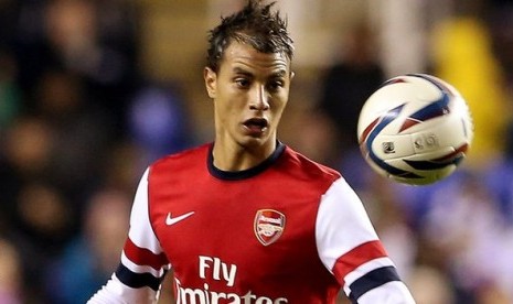 Marouane Chamakh