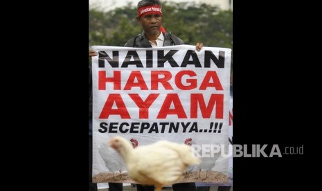 Masa aksi dari Gabungan Organisasi Peternak Ayam Nasional melakukan unjuk rasa di depan Kementerian Koordinator Bidang Perekonomian Jakarta, Kamis (5/9/2019). 