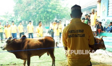 Masjid Besar Baitullah di Kelurahan Bukit Lama, Palembang, Kamis (24/9) menyelenggarakan kurban hari raya Idul Adha sebanyak 20 ekor sapi dan tuju ekor kambing.