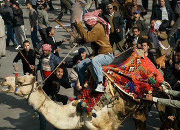 Massa Pro Mubarak menggunakan unta dalam Kerusuhan di Tahrir Square