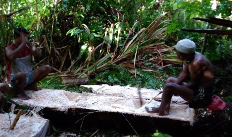 Masyarakat Togutil saat mengolah pohon sagu untuk jadi bahan makanan.