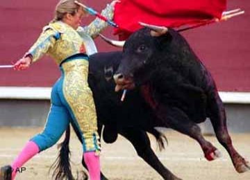 Matador